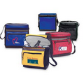 12-pack Insulated cooler